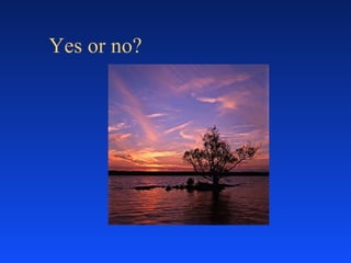 Yes or no?  