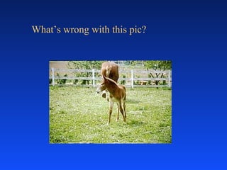 What’s wrong with this pic? 