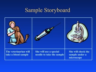 Sample Storyboard The veterinarian will take a blood sample She will use a special needle to take the sample She will check the sample under a microscope 