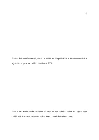 130

Foto 5: Seu Adolfo na roça, entre os milhos recém plantados e ao fundo o milharal
aguardando para ser colhido. Janeiro de 2006

Foto 6: Os milhos ainda pequenos na roça de Seu Adolfo, Aldeia de Itapuã, após
colhidos ficarão dentro da casa, sob o fogo, ouvindo histórias e rezas.

 