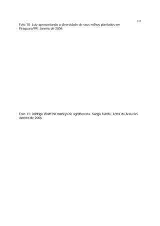 133

Foto 10: Luiz apresentando a diversidade de seus milhos plantados em
Piraquara/PR. Janeiro de 2006.

Foto 11: Rodrigo Wolff no manejo de agrofloresta. Sanga Funda, Terra de Areia/RS.
Janeiro de 2006.

 