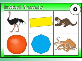 Flashcards and posters O o