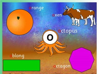 Flashcards and posters O o