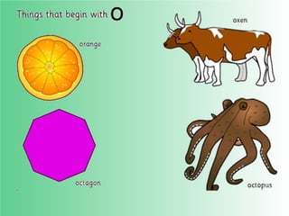 Flashcards and posters O o