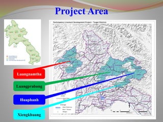 5
Luangnamtha
Luangprabang
Huaphanh
Xiengkhuang
Project Area
 