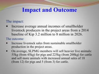 Impact and Outcome
The impact:
 Increase average annual incomes of smallholder
livestock producers in the project areas from a 2014
baseline of Kip 3.2 million to 8 million in 2026.
The outcome:
 Increase livestock sales from sustainable smallholder
production in the project areas.
 On average, SLPMG members will sell heavier live animals:
55kg (from 45kg) for pigs and 225kg (from 200kg) for cattle
and sell more animals with increased annual sales of 18
(from 12) for pigs and 5 (from 3) for cattle.
 