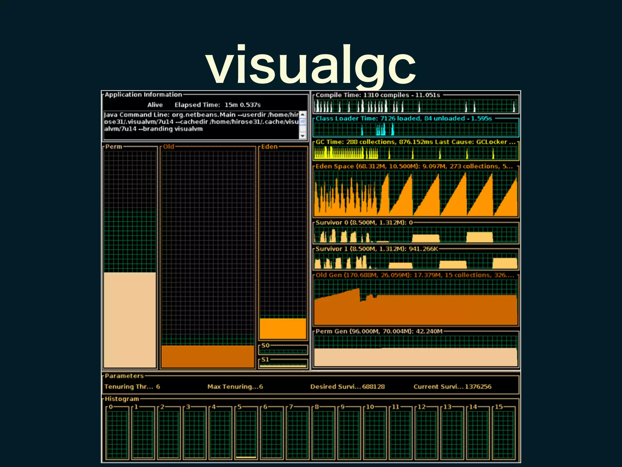 visualgc
 