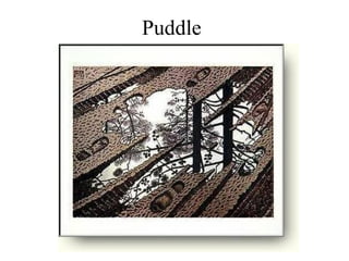 Puddle 