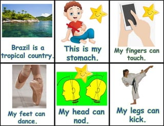 My head can
nod.
Brazil is a
tropical country.
My fingers can
touch.
My feet can
dance.
This is my
stomach.
My legs can
kick.
 