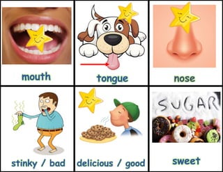 delicious / good sweet
mouth tongue nose
stinky / bad
 