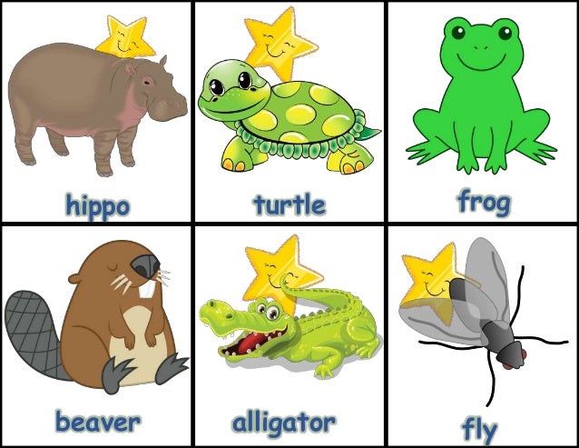 Mc L4 U2 Lc2 10 Lesson 10 Aquatic Semi Aquatic Animals 10 Flashcards