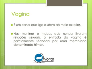 Vagina
É   um canal que liga o útero ao meio exterior.

 Nas meninas e moças que nunca tiveram
 relações sexuais, a entrada da vagina é
 parcialmente fechada por uma membrana
 denominada hímen.
 