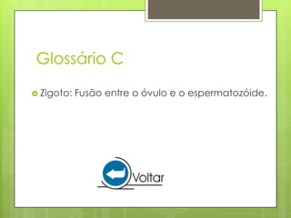 Glossário C
 Zigoto:   Fusão entre o óvulo e o espermatozóide.
 