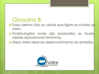 Glossário B
 Tuba  uterina: São os canais que ligam os ovários ao
  útero.
 Ovário:órgãos onde são produzidos os óvulos,
  células reprodutoras femininas.
 Útero: Meio ideal ao desenvolvimento do embrião.
 
