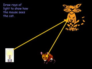 Draw rays of light to show how the mouse sees the cat. 