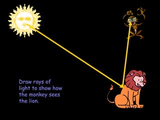 Draw rays of light to show how the monkey sees the lion. 
