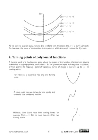 mc-ty-polynomial-2009-1.pdf