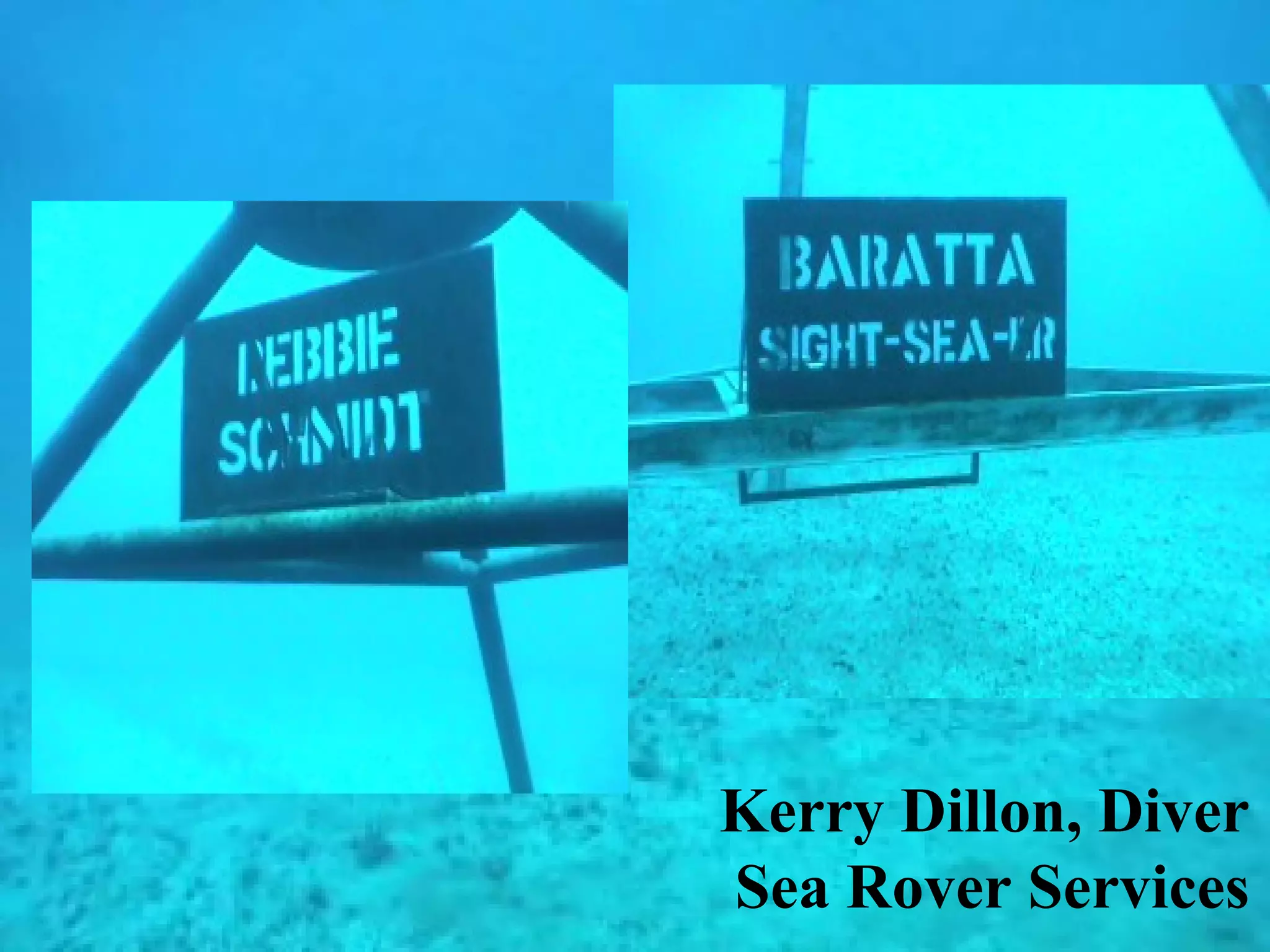 Underwater Kerry Dillon, Diver  Sea Rover Services 
