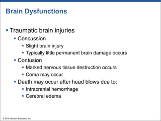 Brain Dysfunctions
§ Traumatic brain injuries
§ Concussion
§ Slight brain injury
§ Typically little permanent brain damage occurs
§ Contusion
§ Marked nervous tissue destruction occurs
§ Coma may occur
§ Death may occur after head blows due to:
§ Intracranial hemorrhage
§ Cerebral edema
© 2018 Pearson Education, Inc.
 