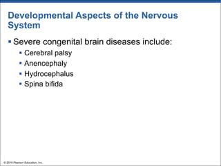Developmental Aspects of the Nervous
System
§ Severe congenital brain diseases include:
§ Cerebral palsy
§ Anencephaly
§ Hydrocephalus
§ Spina bifida
© 2018 Pearson Education, Inc.
 