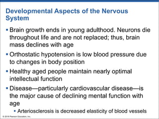Developmental Aspects of the Nervous
System
§ Brain growth ends in young adulthood. Neurons die
throughout life and are not replaced; thus, brain
mass declines with age
§ Orthostatic hypotension is low blood pressure due
to changes in body position
§ Healthy aged people maintain nearly optimal
intellectual function
§ Disease—particularly cardiovascular disease—is
the major cause of declining mental function with
age
§ Arteriosclerosis is decreased elasticity of blood vessels
© 2018 Pearson Education, Inc.
 