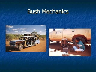Bush Mechanics 
