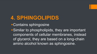 Sphingolipids Components The structure of lipids and it's components | PPTX