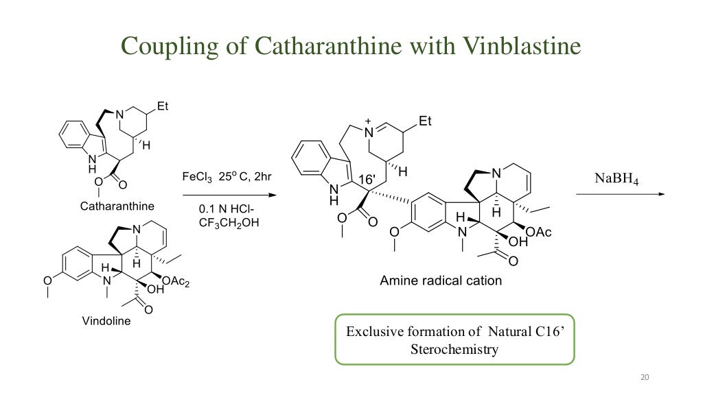 Vinca Alkaloids as Anticancer Agents (Looking back and peering ahead)