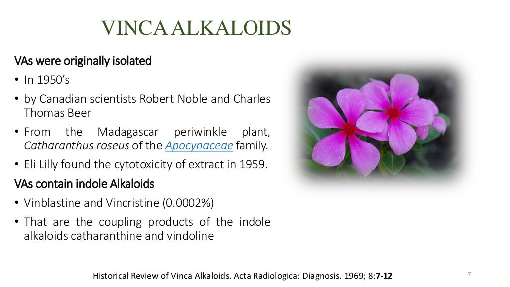Vinca Alkaloids as Anticancer Agents (Looking back and peering ahead)