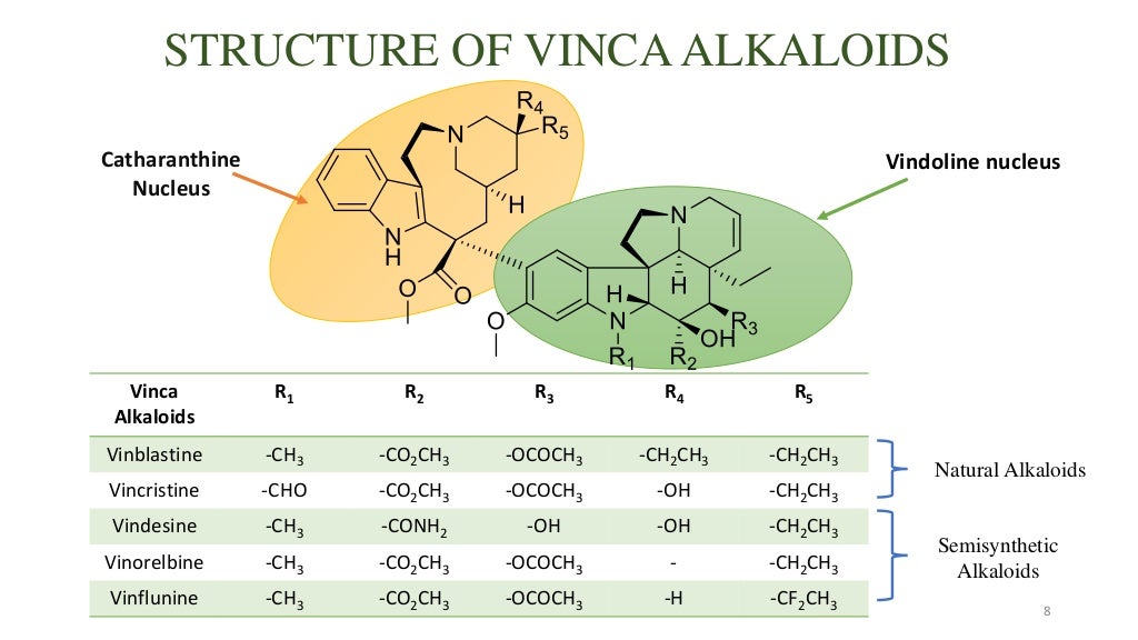 Vinca Alkaloids as Anticancer Agents (Looking back and peering ahead)