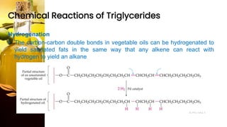 Chemical Reactions of Triglycerides
Hydrogenation
• The carbon-carbon double bonds in vegetable oils can be hydrogenated to
yield saturated fats in the same way that any alkene can react with
hydrogen to yield an alkane
 