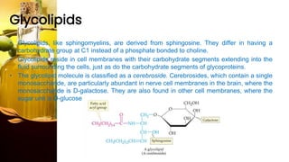 Glycolipids
• Glycolipids, like sphingomyelins, are derived from sphingosine. They differ in having a
carbohydrate group at C1 instead of a phosphate bonded to choline.
• Glycolipids reside in cell membranes with their carbohydrate segments extending into the
fluid surrounding the cells, just as do the carbohydrate segments of glycoproteins.
• The glycolipid molecule is classified as a cerebroside. Cerebrosides, which contain a single
monosaccharide, are particularly abundant in nerve cell membranes in the brain, where the
monosaccharide is D-galactose. They are also found in other cell membranes, where the
sugar unit is D-glucose
 
