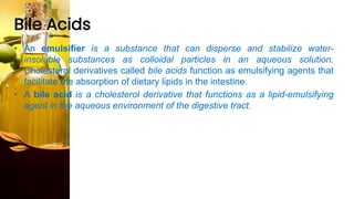 Bile Acids
• An emulsifier is a substance that can disperse and stabilize water-
insoluble substances as colloidal particles in an aqueous solution.
Cholesterol derivatives called bile acids function as emulsifying agents that
facilitate the absorption of dietary lipids in the intestine.
• A bile acid is a cholesterol derivative that functions as a lipid-emulsifying
agent in the aqueous environment of the digestive tract.
 