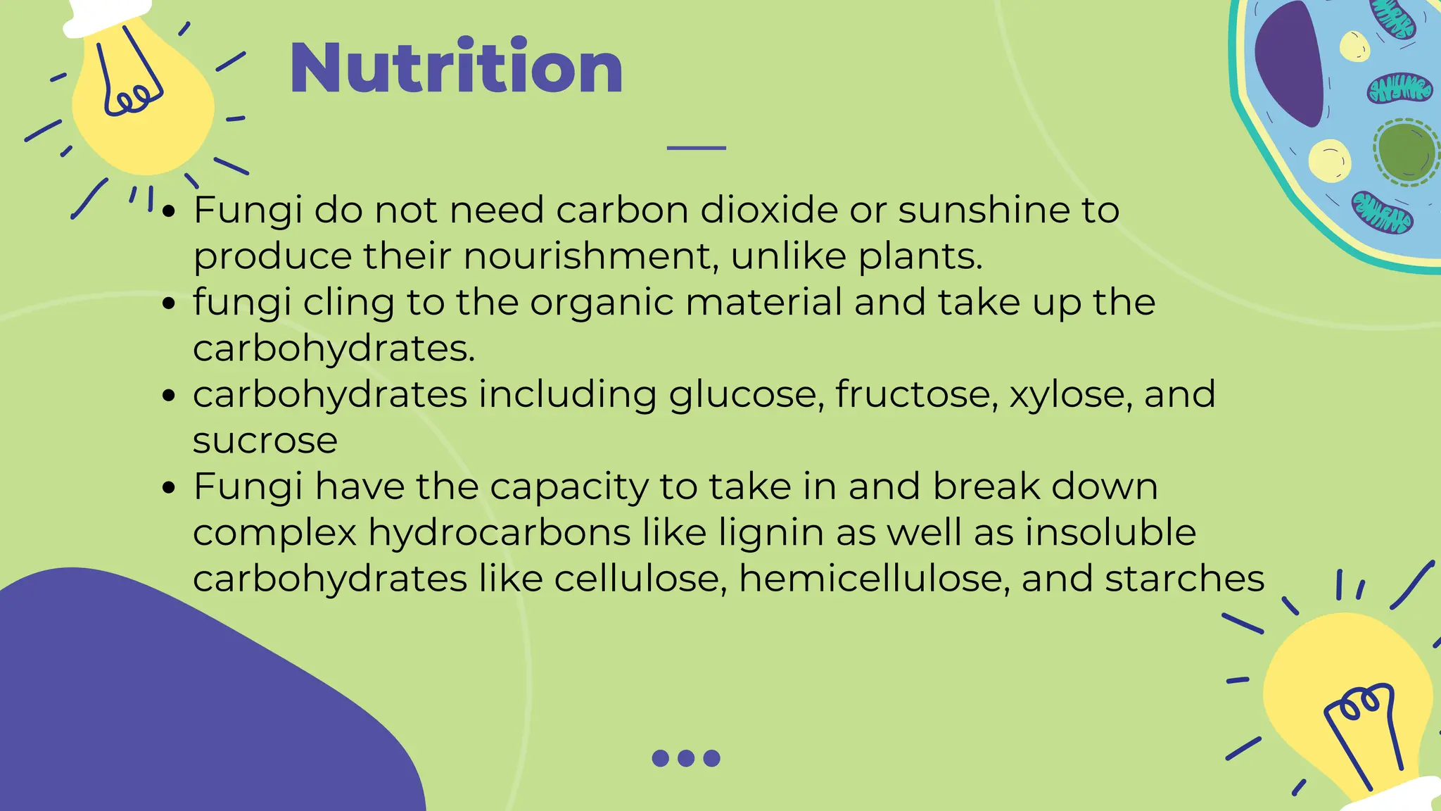 Nutrition
Fungi do not need carbon dioxide or sunshine to
produce their nourishment, unlike plants.
fungi cling to the organic material and take up the
carbohydrates.
carbohydrates including glucose, fructose, xylose, and
sucrose
Fungi have the capacity to take in and break down
complex hydrocarbons like lignin as well as insoluble
carbohydrates like cellulose, hemicellulose, and starches
 