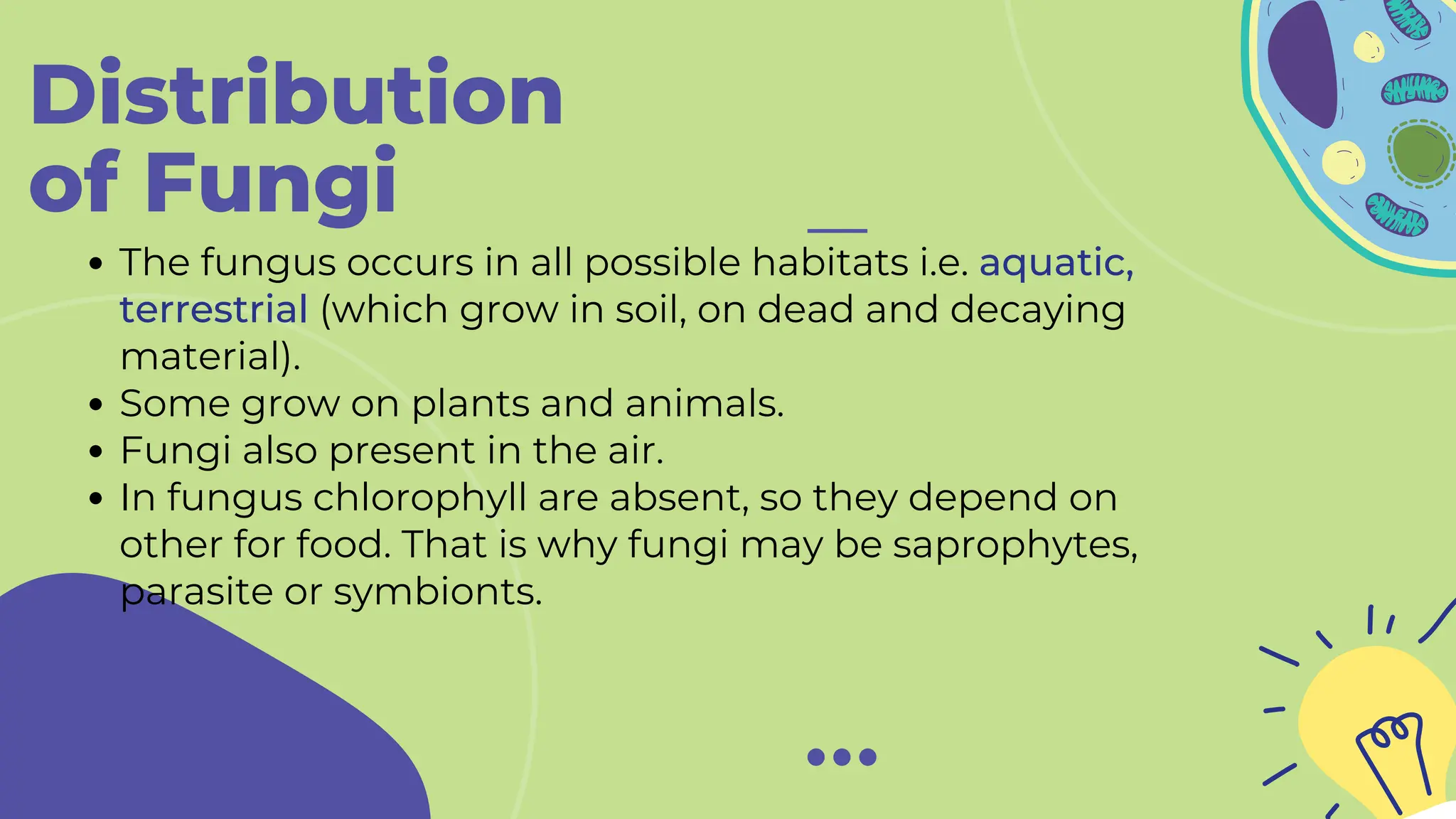 Distribution
of Fungi
The fungus occurs in all possible habitats i.e. aquatic,
terrestrial (which grow in soil, on dead and decaying
material).
Some grow on plants and animals.
Fungi also present in the air.
In fungus chlorophyll are absent, so they depend on
other for food. That is why fungi may be saprophytes,
parasite or symbionts.
 