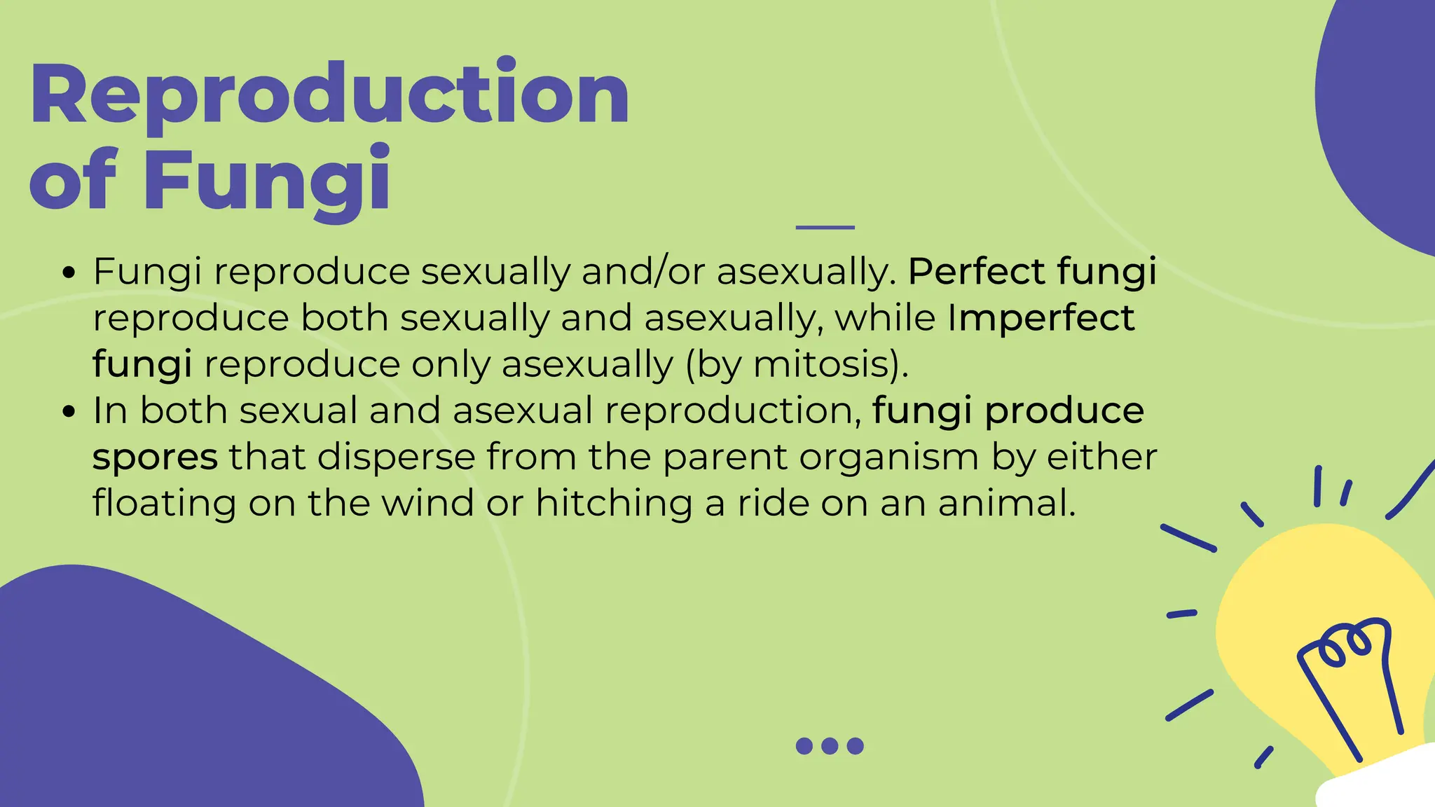 Reproduction
of Fungi
Fungi reproduce sexually and/or asexually. Perfect fungi
reproduce both sexually and asexually, while Imperfect
fungi reproduce only asexually (by mitosis).
In both sexual and asexual reproduction, fungi produce
spores that disperse from the parent organism by either
floating on the wind or hitching a ride on an animal.
 
