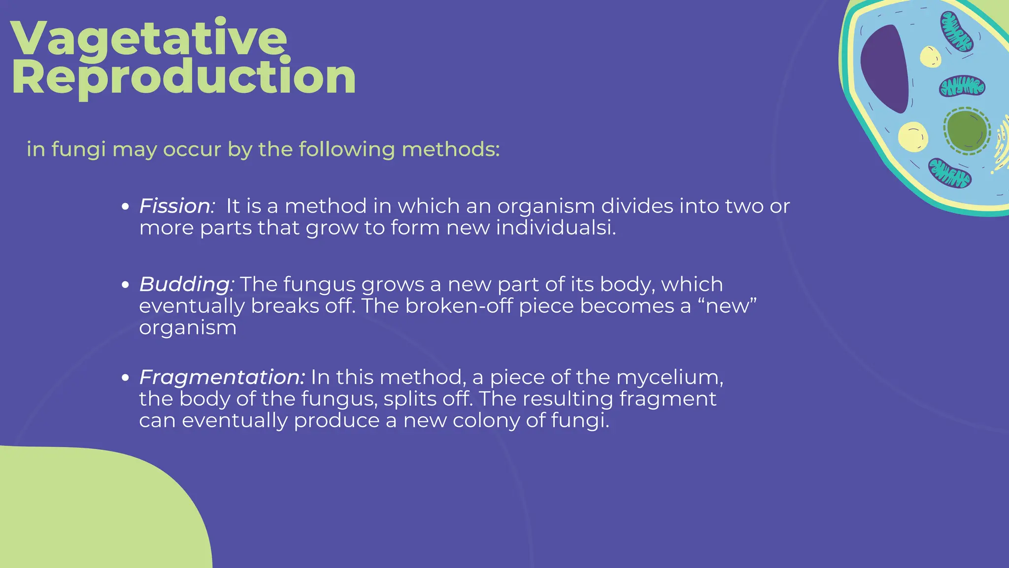 Vagetative
Reproduction
in fungi may occur by the following methods:
Fission: It is a method in which an organism divides into two or
more parts that grow to form new individualsi.
Budding: The fungus grows a new part of its body, which
eventually breaks off. The broken-off piece becomes a “new”
organism
Fragmentation: In this method, a piece of the mycelium,
the body of the fungus, splits off. The resulting fragment
can eventually produce a new colony of fungi.
 
