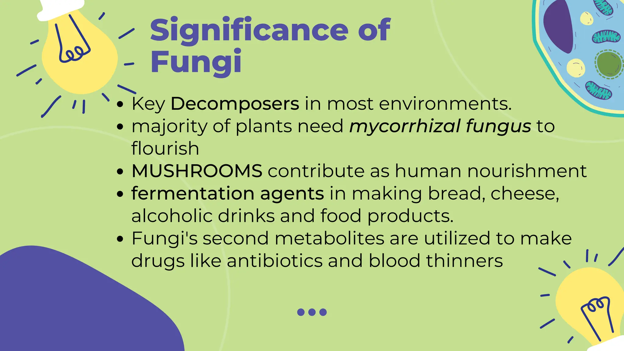 Significance of
Fungi
Key Decomposers in most environments.
majority of plants need mycorrhizal fungus to
flourish
MUSHROOMS contribute as human nourishment
fermentation agents in making bread, cheese,
alcoholic drinks and food products.
Fungi's second metabolites are utilized to make
drugs like antibiotics and blood thinners
 