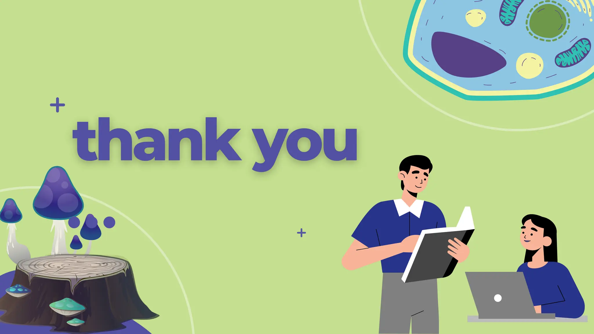 MC3-FUNGI.pdf basic components of bacteria