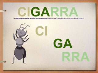 CIGARRA
CI
GA
RRA
 