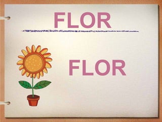 FLOR
FLOR
 