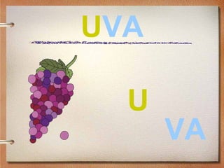 UVA
U
VA
 