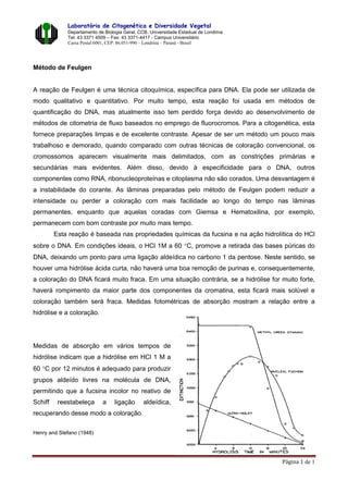 Laboratório de Citogenética e Diversidade Vegetal 
Departamento de Biologia Geral, CCB, Universidade Estadual de Londrina 
Tel: 43 3371 4509 – Fax: 43 3371-4417 - Campus Universitário 
Caixa Postal 6001, CEP: 86.051-990 – Londrina – Paraná - Brasil 
Página 1 de 1 
Método de Feulgen 
A reação de Feulgen é uma técnica citoquímica, específica para DNA. Ela pode ser utilizada de 
modo qualitativo e quantitativo. Por muito tempo, esta reação foi usada em métodos de 
quantificação do DNA, mas atualmente isso tem perdido força devido ao desenvolvimento de 
métodos de citometria de fluxo baseados no emprego de fluorocromos. Para a citogenética, esta 
fornece preparações limpas e de excelente contraste. Apesar de ser um método um pouco mais 
trabalhoso e demorado, quando comparado com outras técnicas de coloração convencional, os 
cromossomos aparecem visualmente mais delimitados, com as constrições primárias e 
secundárias mais evidentes. Além disso, devido à especificidade para o DNA, outros 
componentes como RNA, ribonucleoproteínas e citoplasma não são corados. Uma desvantagem é 
a instabilidade do corante. As lâminas preparadas pelo método de Feulgen podem reduzir a 
intensidade ou perder a coloração com mais facilidade ao longo do tempo nas lâminas 
permanentes, enquanto que aquelas coradas com Giemsa e Hematoxilina, por exemplo, 
permanecem com bom contraste por muito mais tempo. 
Esta reação é baseada nas propriedades químicas da fucsina e na ação hidrolítica do HCl 
sobre o DNA. Em condições ideais, o HCl 1M a 60 C, promove a retirada das bases púricas do 
DNA, deixando um ponto para uma ligação aldeídica no carbono 1 da pentose. Neste sentido, se 
houver uma hidrólise ácida curta, não haverá uma boa remoção de purinas e, consequentemente, 
a coloração do DNA ficará muito fraca. Em uma situação contrária, se a hidrólise for muito forte, 
haverá rompimento da maior parte dos componentes da cromatina, esta ficará mais solúvel e 
coloração também será fraca. Medidas fotométricas de absorção mostram a relação entre a 
hidrólise e a coloração. 
Medidas de absorção em vários tempos de 
hidrólise indicam que a hidrólise em HCl 1 M a 
60 C por 12 minutos é adequado para produzir 
grupos aldeído livres na molécula de DNA, 
permitindo que a fucsina incolor no reativo de 
Schiff reestabeleça a ligação aldeídica, 
recuperando desse modo a coloração. 
Henry and Stefano (1948) 
 
