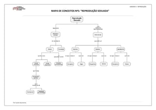 MAPA DE CONCEITOS Nº5: “REPRODUÇÃO SEXUADA”-13970-641985 