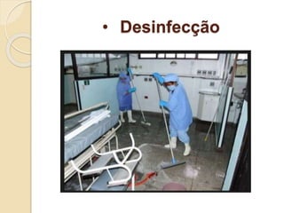 • Desinfecção
 