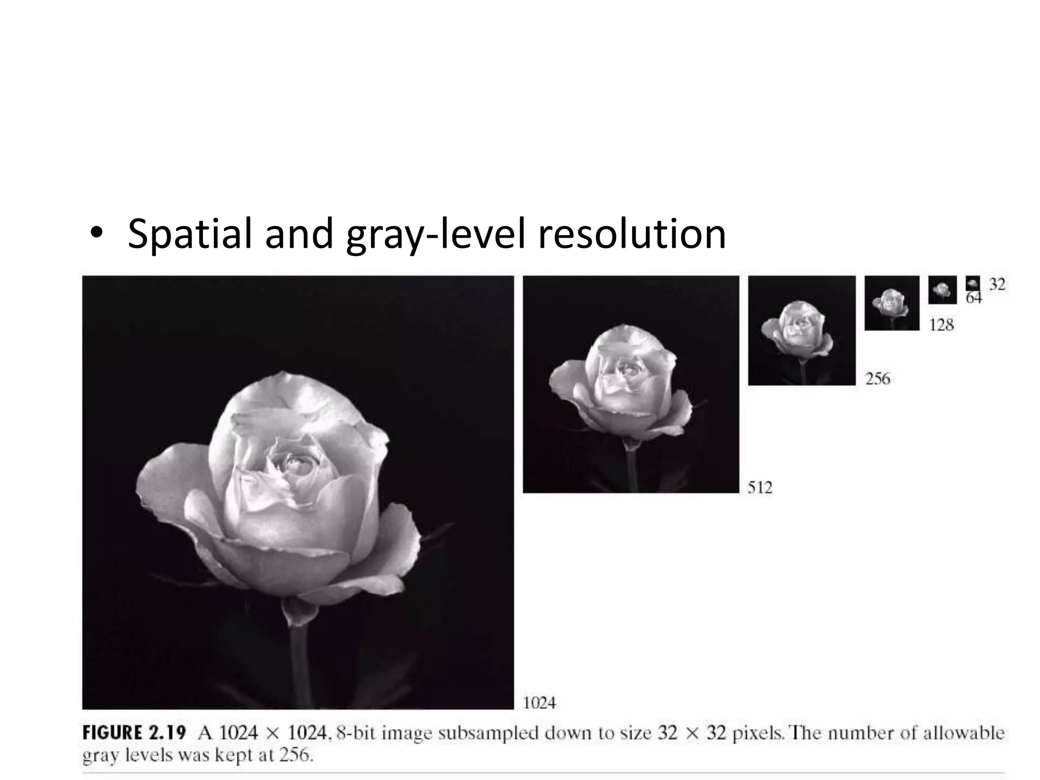 • Spatial and gray-level resolution
 