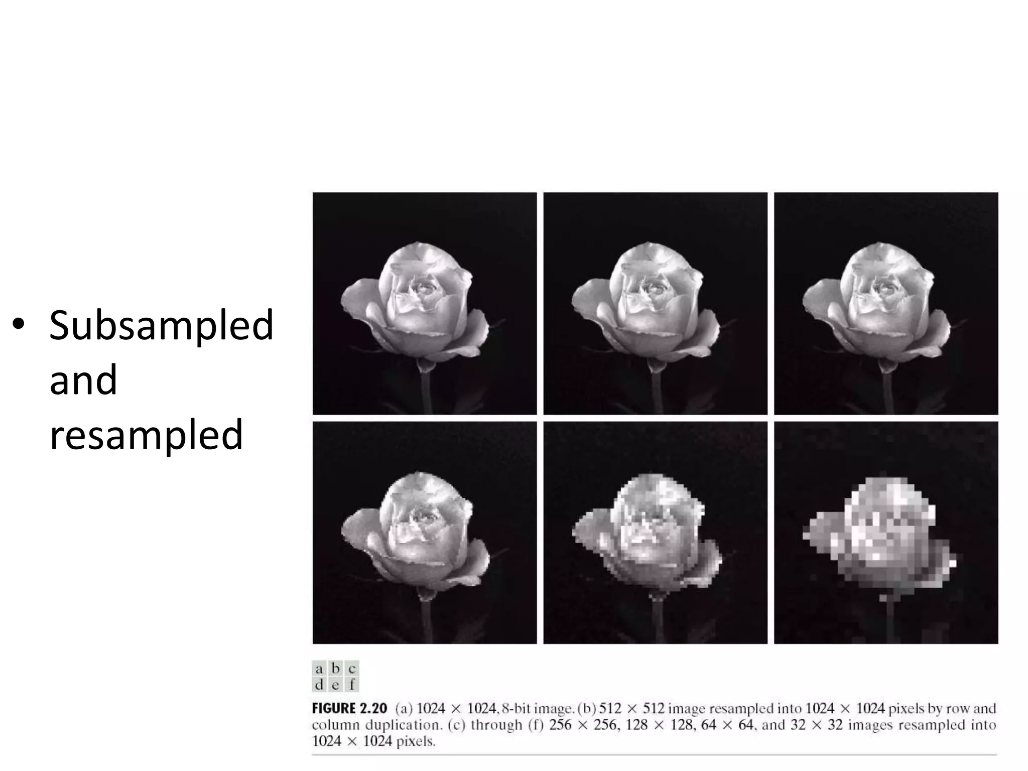 • Subsampled
and
resampled
 