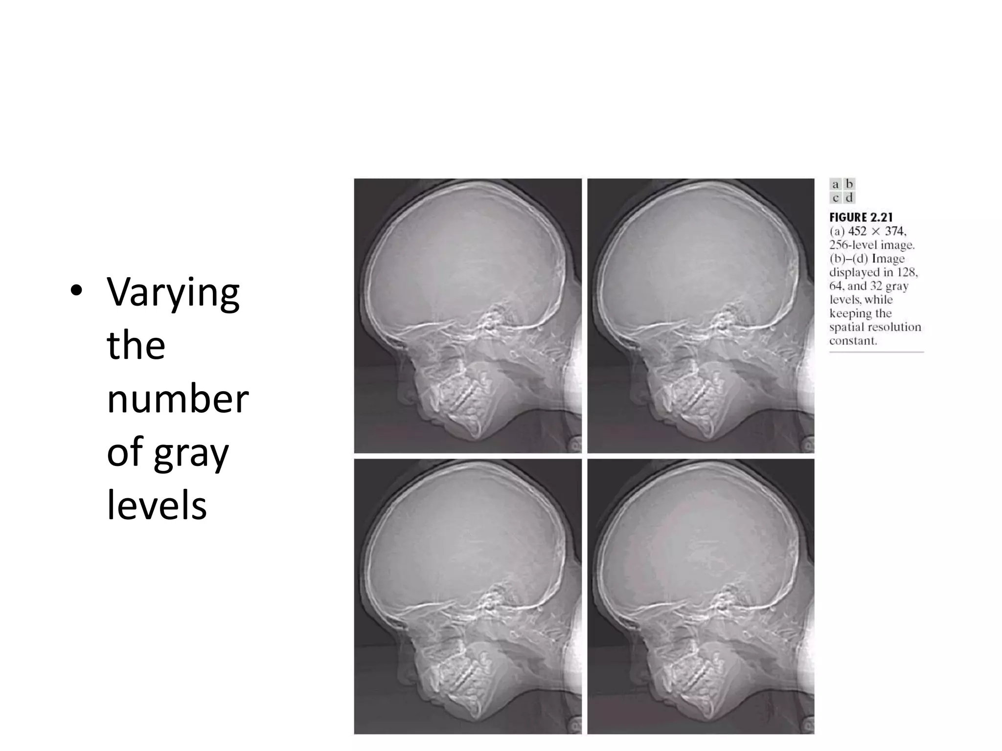 • Varying
the
number
of gray
levels
 