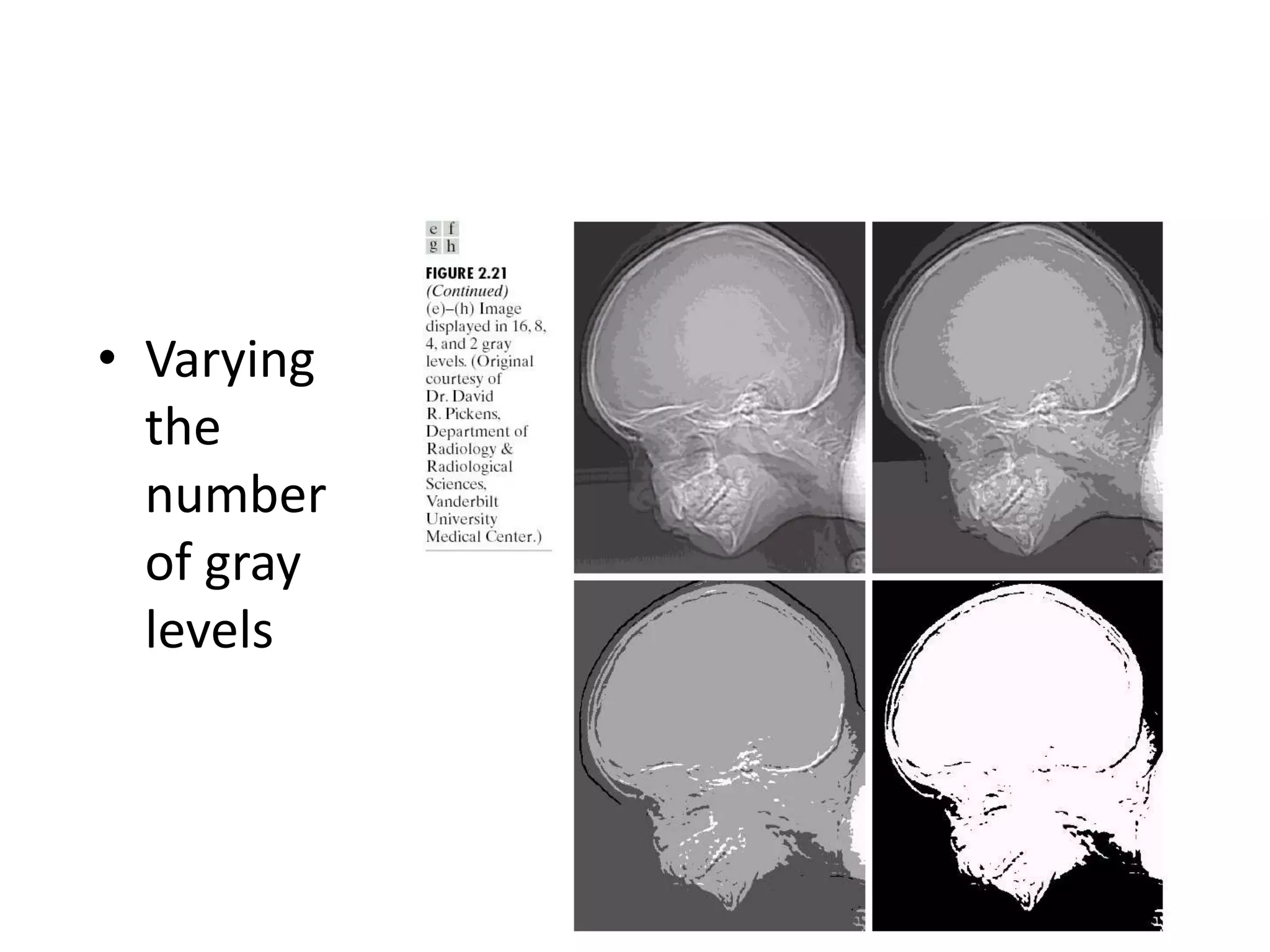 • Varying
the
number
of gray
levels
 