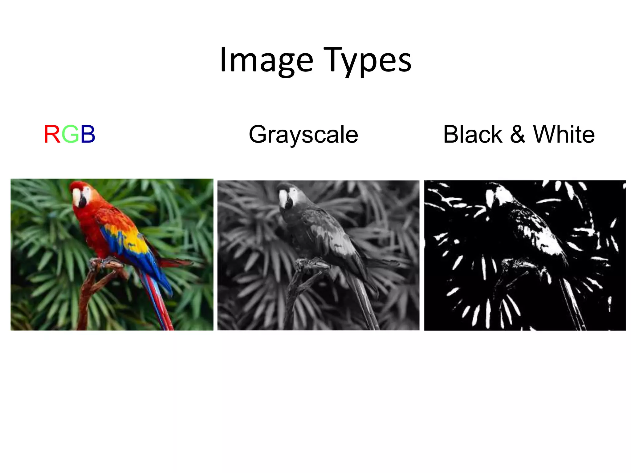 Image Types
RGB Grayscale Black & White
 